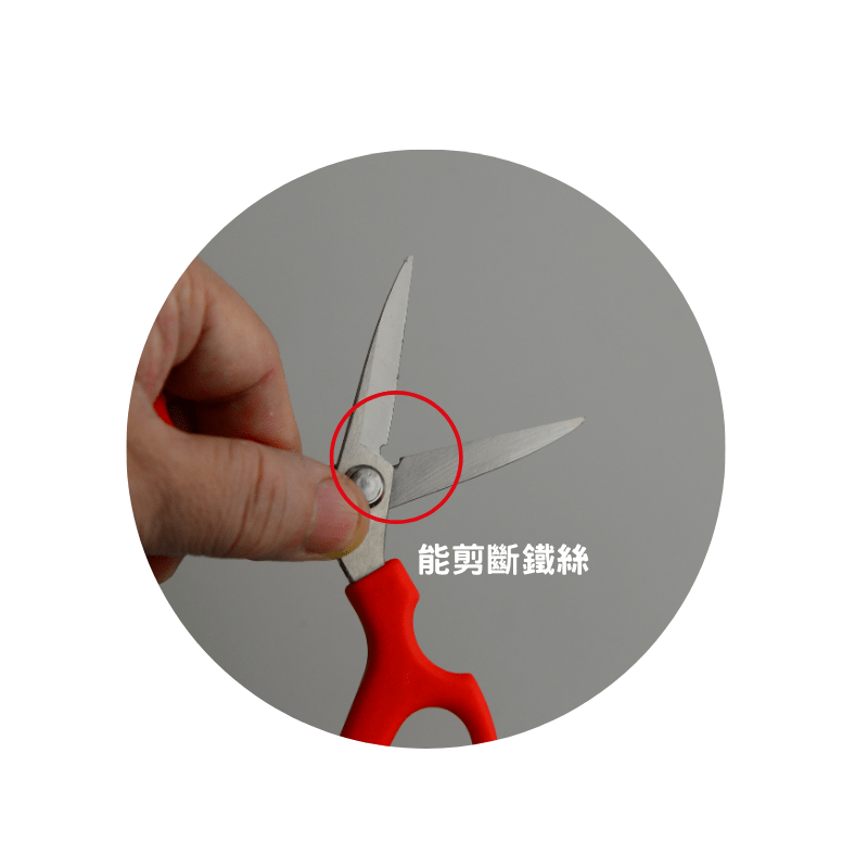 能剪斷鐵絲的插花剪刀sakagen 165系列剪刀(火鶴花紅色)永生花專用款– 以西結國際有限公司