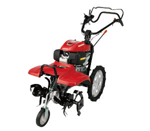 2026 08 07